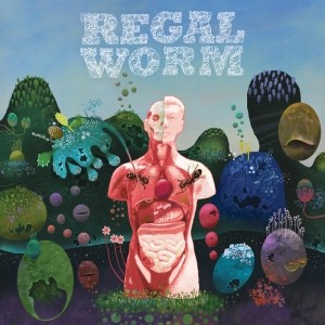 Regal Worm ~ Use And Ornament