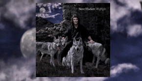 Steve Hackett - Wolflight