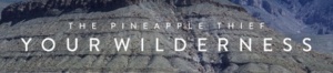 The Pineapple Thief banner