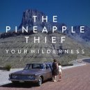 The Pineapple Thief  - Your Wilderness