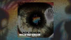 Black Severn - Wild Interior