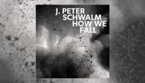 J Peter Schwalm - How We Fall