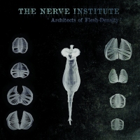 The Nerve Institute - Architects of Flesh-Density
