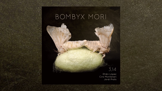 3,14 - Bombyx Mori (314π)