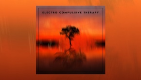 Electro Compulsive Therapy - Electro Compulsive Therapy