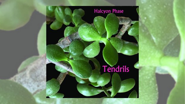 Halcyon Phase - Tendrils