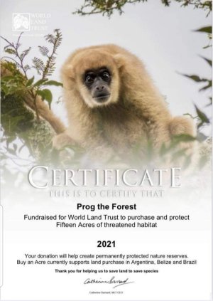 Prog the Forest - Certificate 2