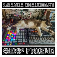 Amanda Chaudhary — Merp Friend [EP]