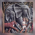 Random Earth Project - Changes