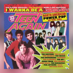 Various Artists – I Wanna Be A Teen Again: American Power Pop 1980 – 1989