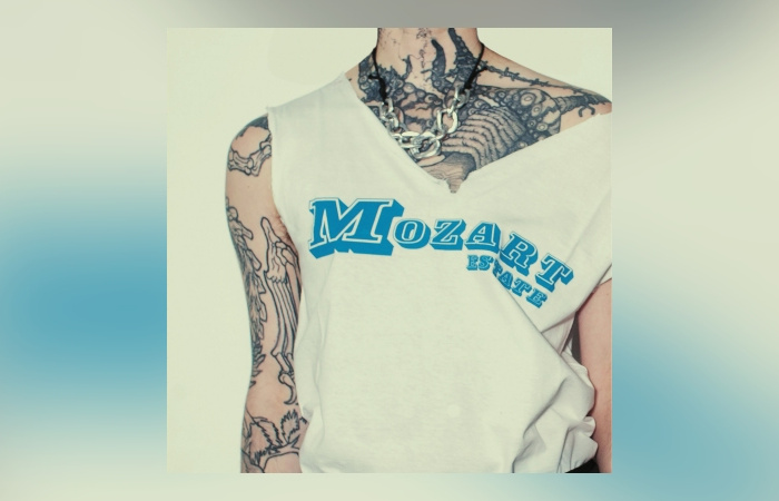 Mozart Estate – Tower Block In A Jam Jar