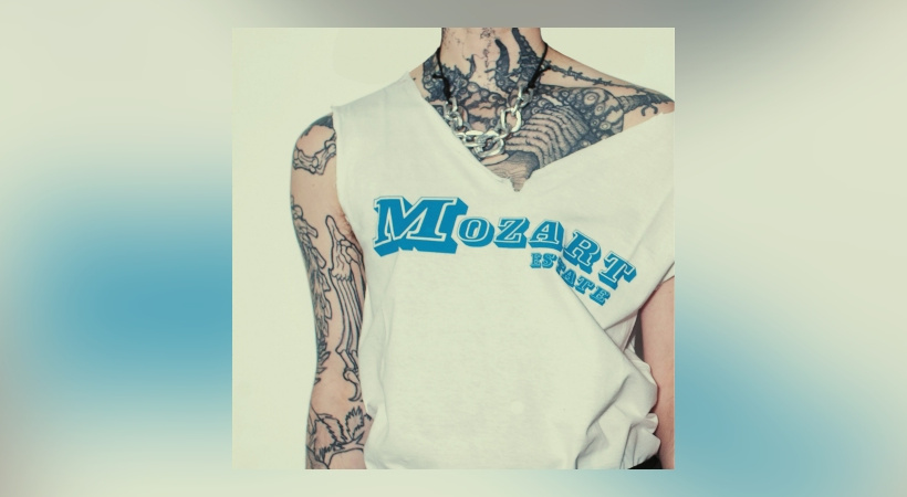 Mozart Estate – Tower Block In A Jam Jar