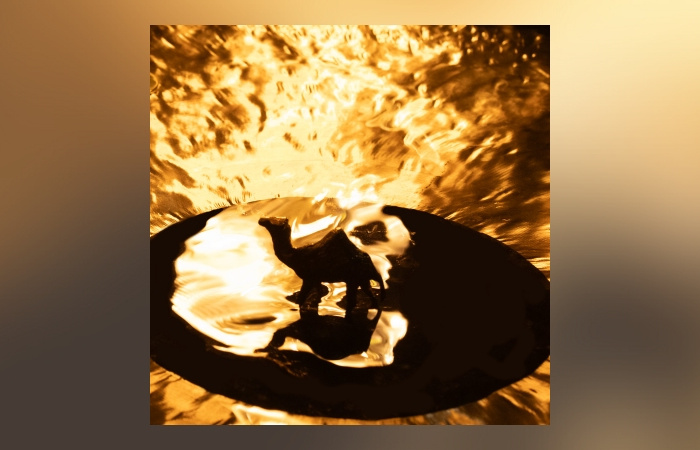 Brass Camel – Brass Camel