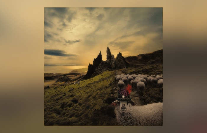 Franck Carducci - Sheeple
