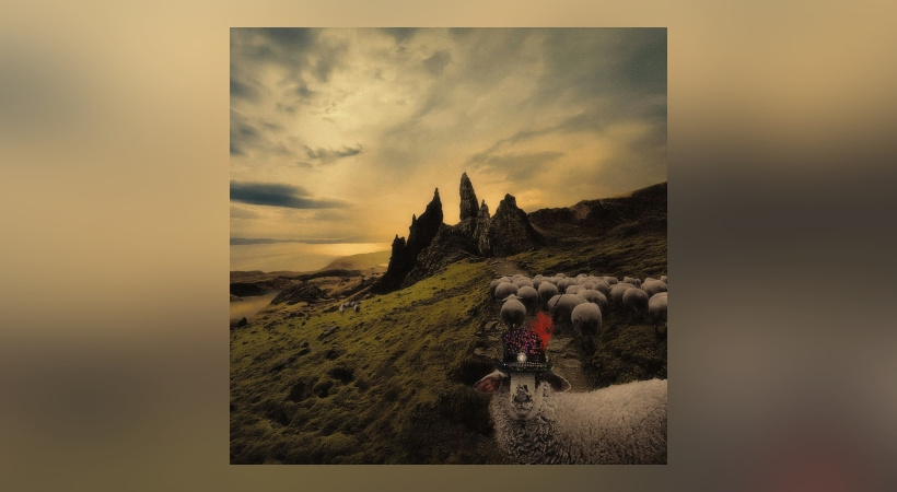 Franck Carducci - Sheeple