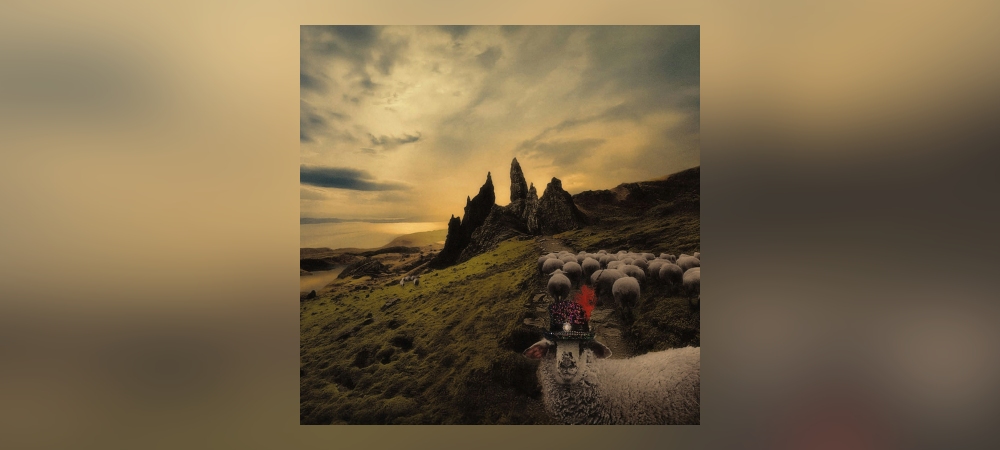 Franck Carducci - Sheeple